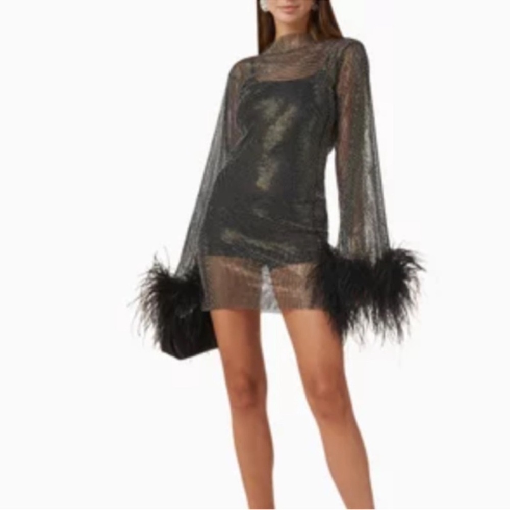 Santas brands Feathers Mini Dress in Sheer Mesh Sz M/L - Picture 2 of 15
